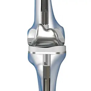 Revizyon Diz Protezi Cerrahisi
